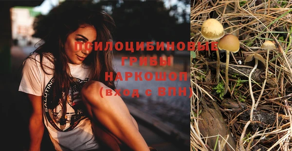 соль курить ск Карпинск