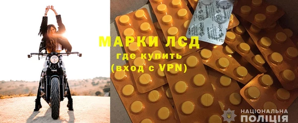 шишки Чердынь