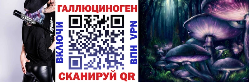 Псилоцибиновые грибы Cubensis  Мосальск 